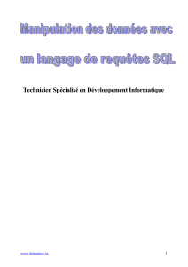 cours de base des donn&eacute;es relationnelles