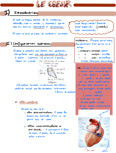 Coeur - SALMA LAHBOUBI