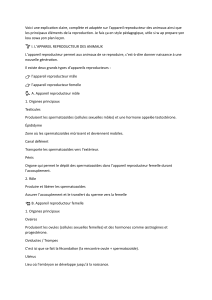 Appareil reproducteur des animaux : le&ccedil;on et reproduction