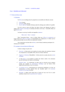 B&eacute;ton Arm&eacute;: G&eacute;n&eacute;ralit&eacute;s et Normes Eurocodes