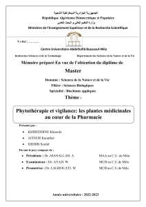 pHYTOTHERAPIE ET VIGILANCE memoire