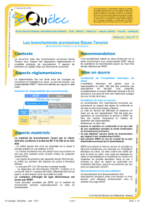 GP01-Sequelec Branchement Provisoire de chantier