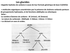 Les glucides : Classification, Structure et R&ocirc;les