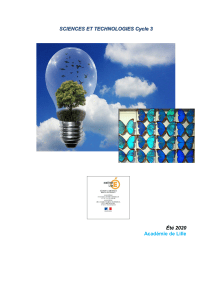 Cahier de soutien Sciences et Technologies Cycle 3