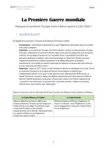 La Premi&egrave;re Guerre mondiale : Origines et d&eacute;clenchement en 1914