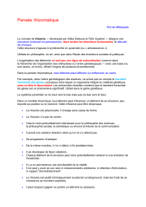 Pens&eacute;e rhizomatique : concept de Deleuze et Guattari