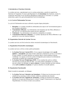 M&Eacute;GA COURS  LE SYST&Egrave;ME NERVEUX &ndash; STRUCTURE, FONCTIONS ET PLASTICIT&Eacute;