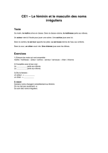 CE1 feminin masculin noms irreguliers
