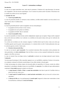 Le&ccedil;on 12 Automatisme cardiaque
