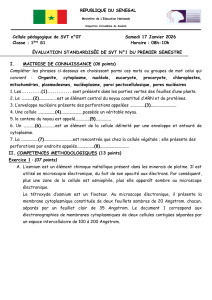 Devoir harmonis&eacute; de SVT 1&egrave;re S1
