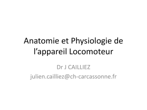 Anatomie et Physiologie de l'appareil Locomoteur