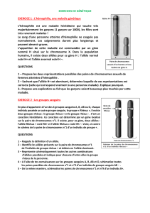 Exercices de g&eacute;n&eacute;tique : H&eacute;mophilie & Groupes sanguins