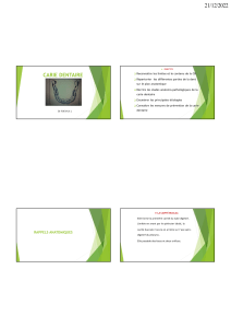 Pr&eacute;sentation Carie Dentaire : Anatomie, &Eacute;tiologie, Pr&eacute;vention