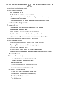 Petit livret : familles de plantes &agrave; fleurs herbac&eacute;es