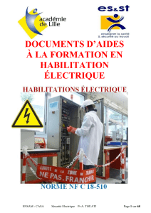 Documents d'aide &agrave; la formation en habilitation &eacute;lectrique