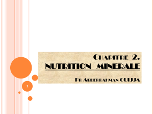 1 SV S4 PHYSV Nutrition min&eacute;rale cours Ouijja
