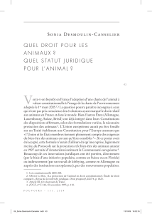 quel-droit-pour-les-animaux-quel-statut-juridique-pour-lanimal