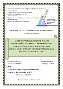 M&eacute;moire de DEA sur l'abandon pr&eacute;coce de l'&eacute;cole fondamentale 2 au Mali   