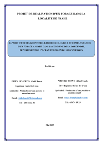 RAPPORT D'ETUDES NSAHE 