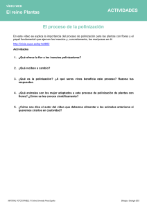Actividades sobre el proceso de polinizaci&oacute;n