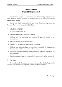 Projet d'Entrepreneuriat - ENSAM Meknes 5&egrave;me ann&eacute;e