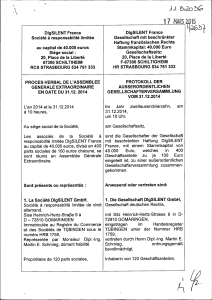 DIGSILENT FRANCE - Statuts mis &agrave; jour