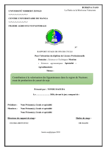 Rapport de stage sur la production de yaourt de soja