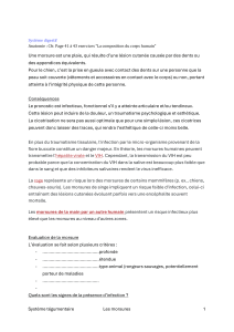 Morsures : Anatomie, Cons&eacute;quences et Prise en Charge