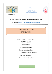 Rapport de stage d'initiative