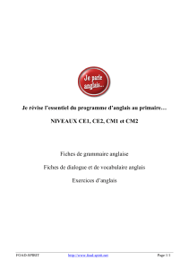 R&eacute;vision Anglais Primaire CE1-CM2: Grammaire, Vocabulaire, Exercices