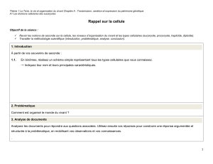 S&eacute;ance 1 rappel cellule
