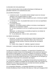Description des mots polys&eacute;miques