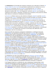 Comprendre le M&eacute;tabolisme : Bases de la Biochimie