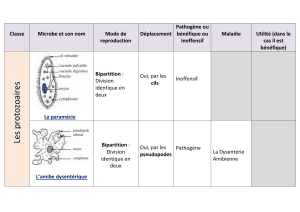 Classe des microbes