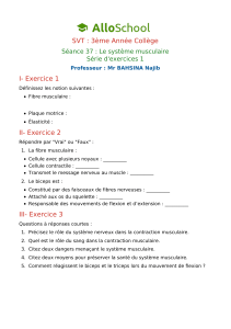 seance-37-le-systeme-musculaire-serie-d-exercices-1