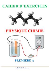 CAHIER D'EXERCICES PC 1ERE A pdf
