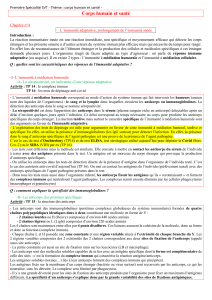 SVT ->  immunit&eacute; adaptative