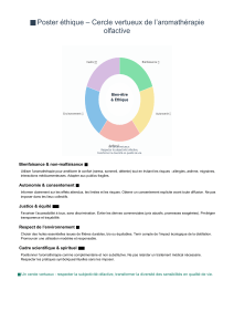 Poster A3 Cercle virtueux aromatherapie