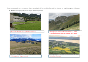 Fiche d'exercice : Reliefs de Chapel d'Abondance