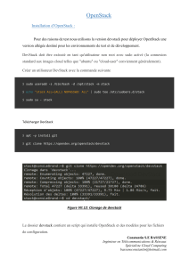 Guide d&rsquo;Installation OpenStack avec DevStack
