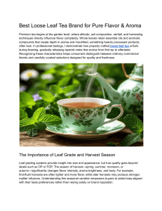 Best Loose Leaf Tea Guide: Flavor, Aroma, & Quality