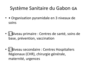 Structure du syst&egrave;me de sant&eacute; du Gabon