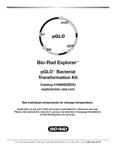 pGLO Bacterial Transformation Kit Lab Manual