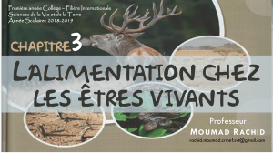 Chapitre 3 : L'alimentation chez les &ecirc;tres vivants