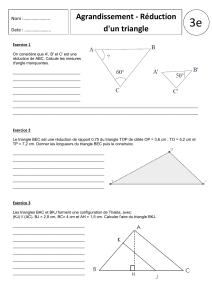 Exercices d'agrandissement et de r&eacute;duction de triangles pour 3e