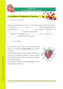 Chapitre 3: La circulation des vivants - Syst&egrave;me circulatoire humain