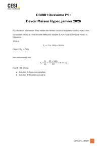 Devoir Maison Adaptation d'Imp&eacute;dance 10 GHz - Cesi