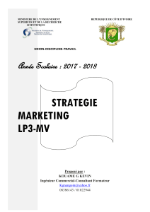 Strat&eacute;gie Marketing LP3-MV