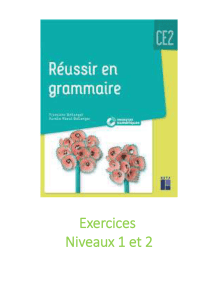 R&eacute;ussir en grammaire CE2 : exercices de fran&ccedil;ais