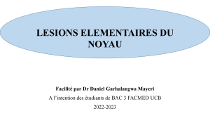 Le&ccedil;ons sur les l&eacute;sions &eacute;l&eacute;mentaires du noyau